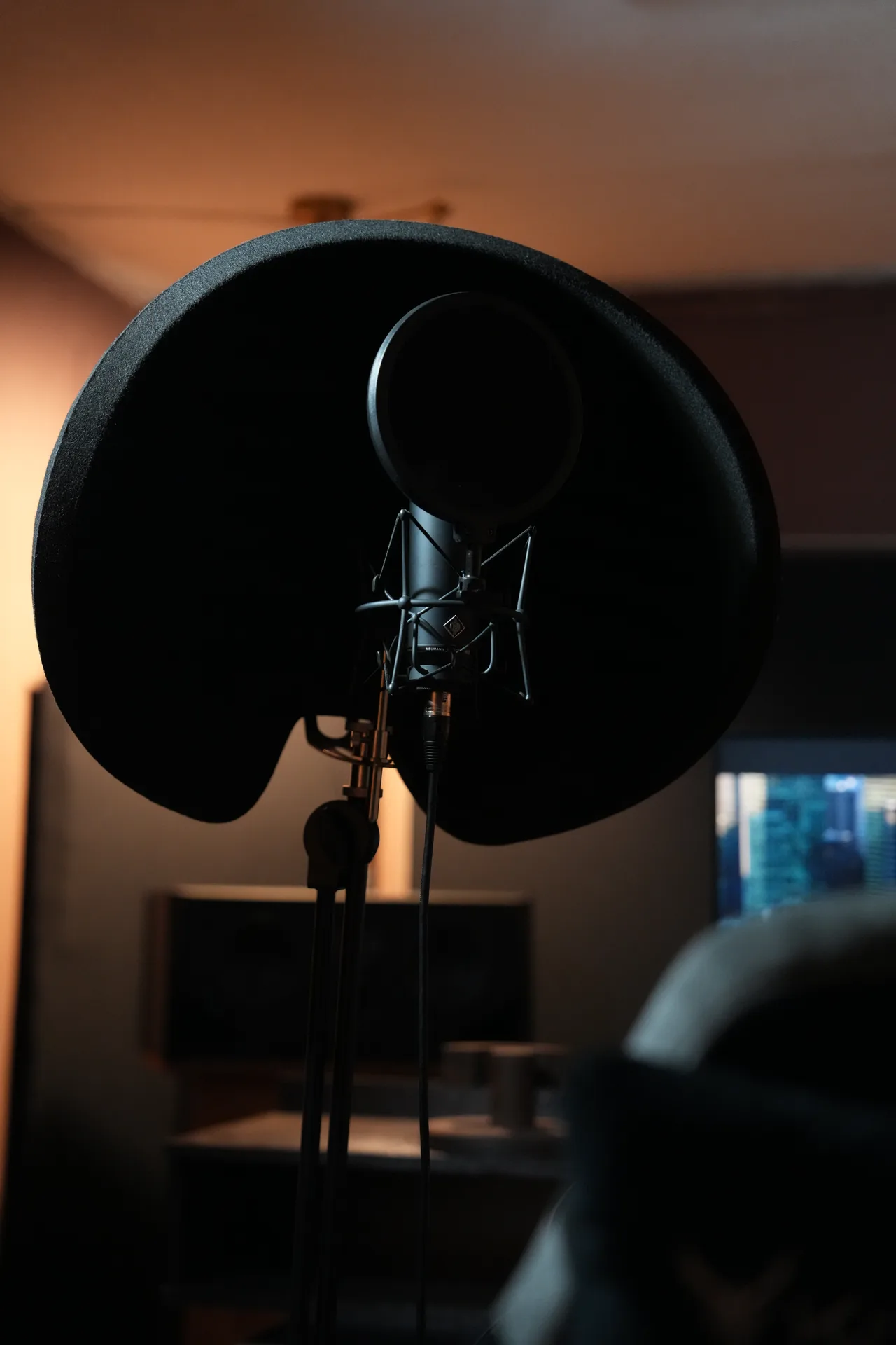 Микрофон Neumann с поп-фильтром и акустическим экраном в студии
